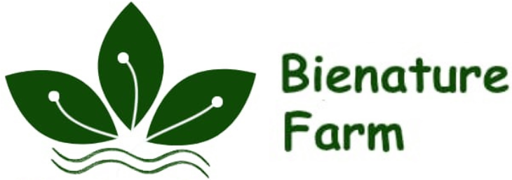 FreeBootstrap.net image placeholder